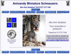 Anloandy Miniature Schnauzers